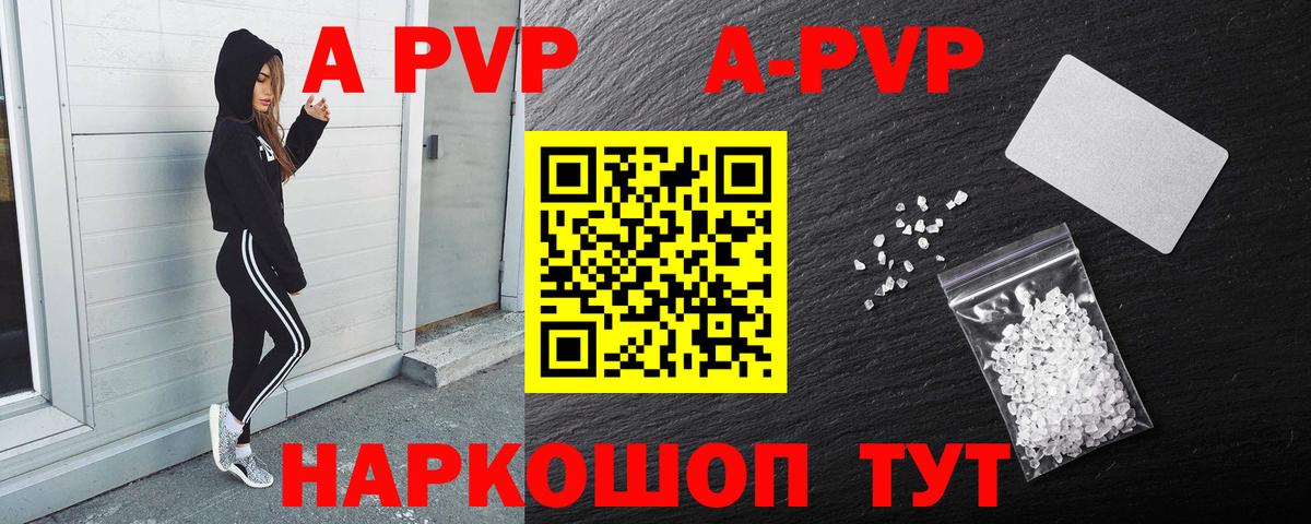 А ПВП СК КРИС Шали