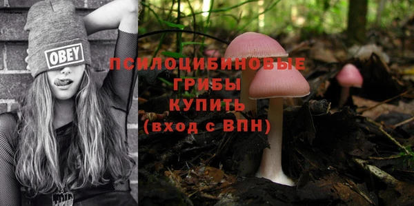 apvp Михайлов