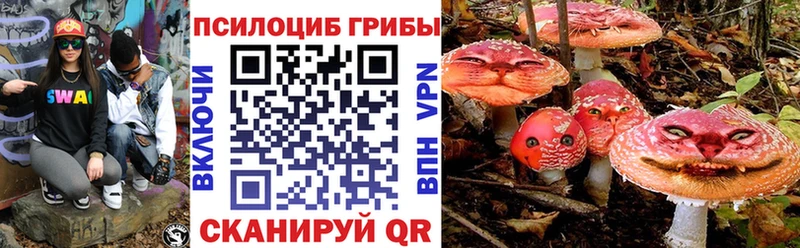 кракен рабочий сайт  купить   Шали  Псилоцибиновые грибы GOLDEN TEACHER 