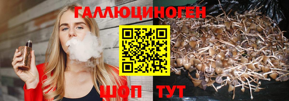 Галлюциногенные грибы GOLDEN TEACHER  Вход с VPN  Шали 