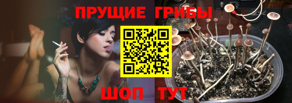 Галлюциногенные грибы MAGIC MUSHROOMS  Шали 